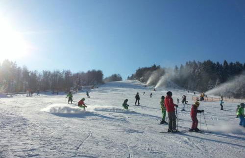 Pilgrims "Franz" großzügige Unterkunft Sauerland - Foto 29