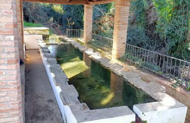 Apartamento Rural El Rinconcito - Foto 33