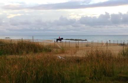 Il Giardino Dei Carrubi - Foto 45