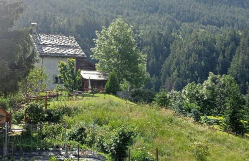 Home Sweet Home - Foto 48