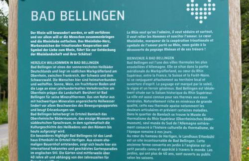 Vogesenblick - Foto 4