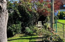 Das kleine Paradies - Foto 33