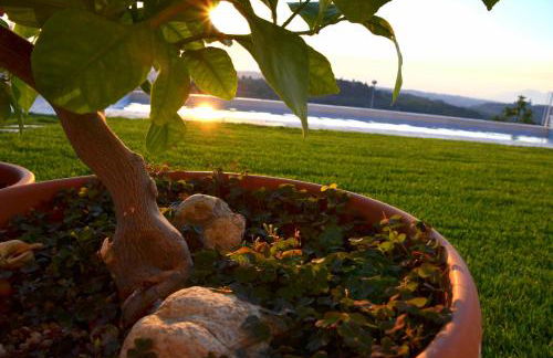 Casa Magnolia - Foto 63