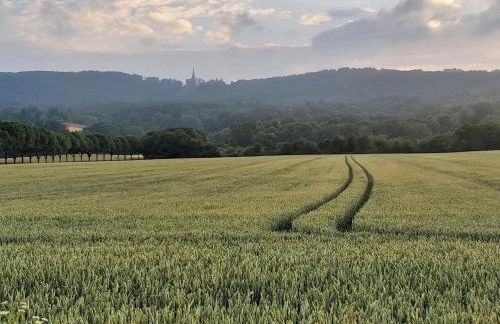 Ferienwohnung Herkules - Foto 24