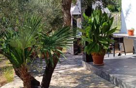 Olive Garden Beachside Hideaway - Photo 25