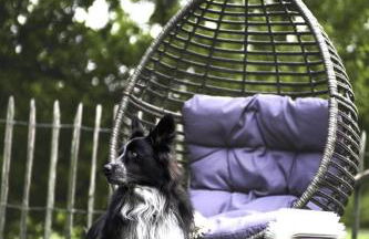 Haus Grün - Foto 12