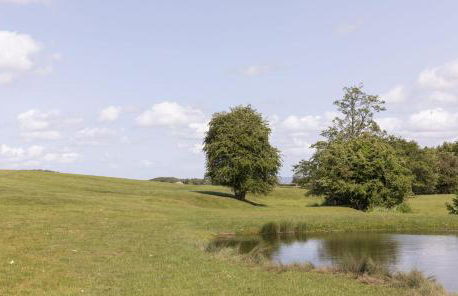 East Lodge, Yorkshire - Foto 30