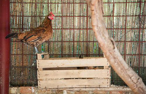 Azienda Agrituristica Bergi - Foto 69