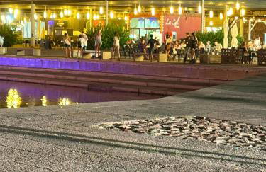 Playamar - RETAMAR EXPERIENCE - Photo 5