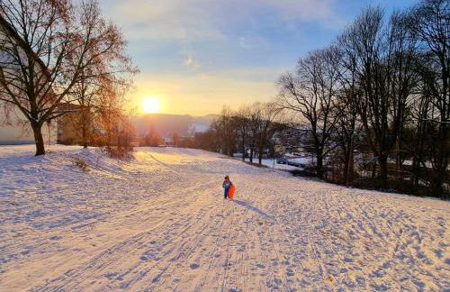 Ferienhäuser Olbernhau Erzgebirge - Foto 12
