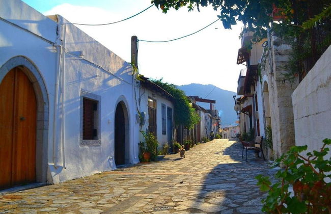 Olive Valley Traditional House - Foto 19