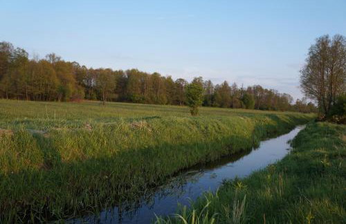 Drewniany Zakątek z sauną i jacuzzi - Foto 45