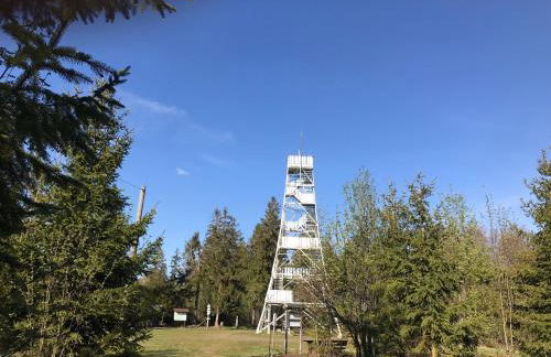 Tolle Ferienwohnung mit Loggia in Schauenstein 100qm bei Hof an der Saale Frankenwald - Foto 77