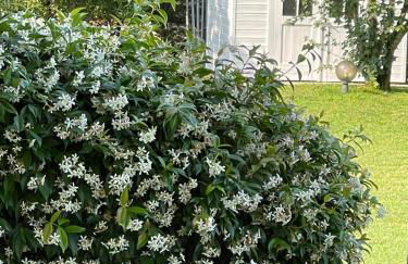 VILLA SAVALIN - Foto 9