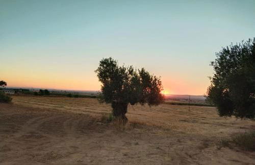 Casa rural Cerro Campón - Foto 76