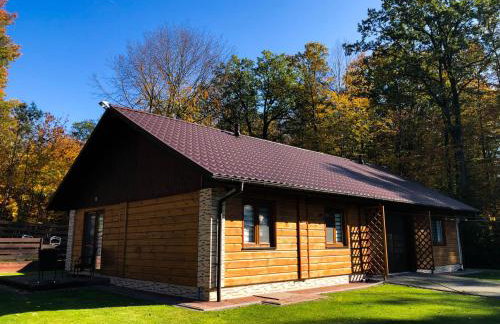 Zagroda Nad Kotelnią - Foto 2