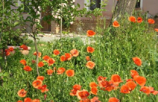 Casa Isabella - Photo 51