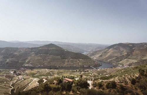 Quinta Vale das Papas - Foto 30