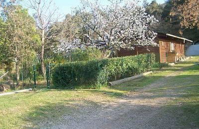 Mas Torrenaps - Photo 2