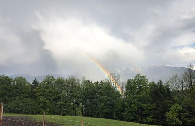 Rossweid hut With a Fantastic View - Foto 17