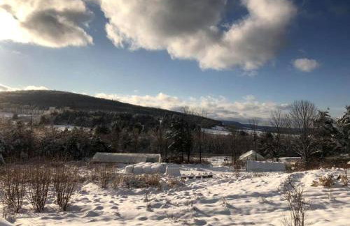 Gorgeous Finger Lakes Accommodation near Ithaca for Glamping in New York - Foto 23