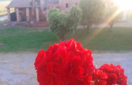 Agriturismo Ca' Alleata - Foto 9
