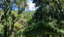 Memora Guesthouse Bateias - Casa Inteira e quartos em chácara - Foto 2