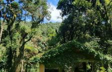 Memora Guesthouse Bateias - Casa Inteira e quartos em chácara - Photo 9