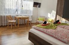 Gartenstudio Anila - Foto 9