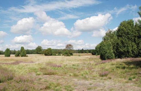 Nice Home In Faßbergheidesee With Wifi - Foto 11