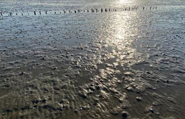 Ferienwohnung am Deichweg - Foto 20