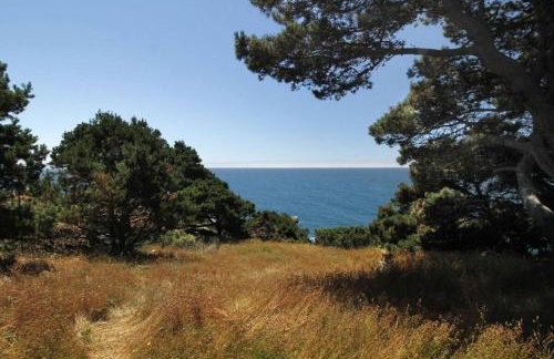 Ocean Bluff Serenity - Foto 9