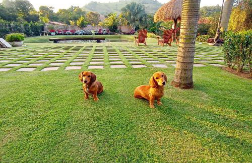 CHÁCARA BARBOSA II - Foto 32