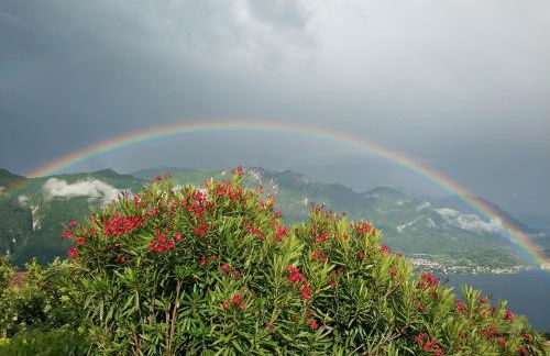 ALBA e TRAMONTO Appartamenti vista lago - Foto 18