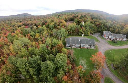 1 Mile to Hunter Mt! Cozy 3 Bedroom - Foto 10