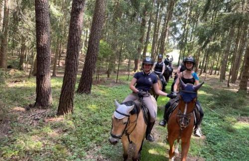Tiny House, Neunburg vorm Wald - Foto 29