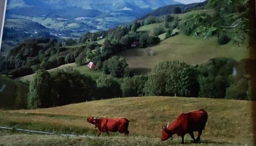 Maison au pied du puy mary - Foto 3