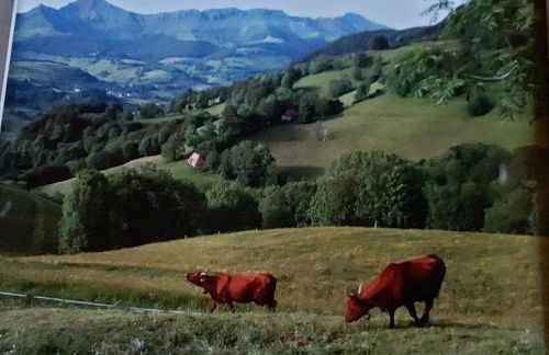 Maison au pied du puy mary - Photo 3