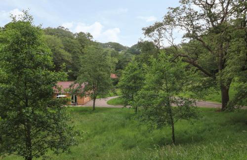 Park Brook Dell - Foto 15