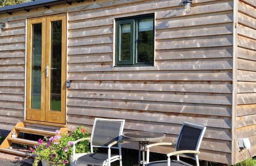 Cosy Owl - Shepherds Hut - Foto 43