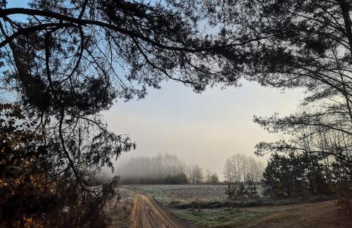 Ferienhaus Marianna am See - free Sauna, Ruderboot, Kajak & WLAN - Photo 54