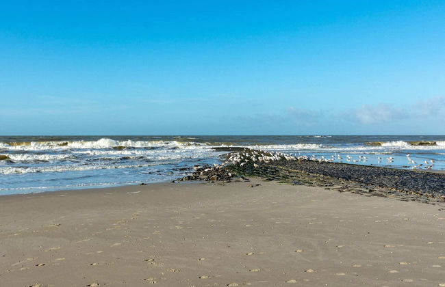 Radiant Bungalow With Patio at Duinland - Foto 71