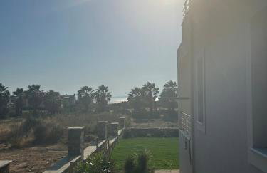 Palm Tree Beach Villa - Photo 25