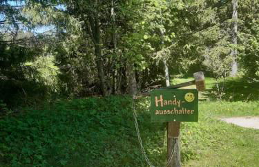 FeWo Schwarzwald von oben - Kniebis - Foto 29