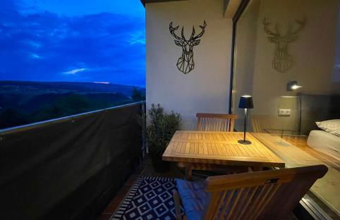 #1 Studioapartment mit Loreleyblick direkt an der schönsten Etappe des Rheinsteigs - Foto 14