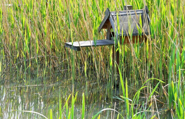 Evening sun Modern Retreat - Foto 8