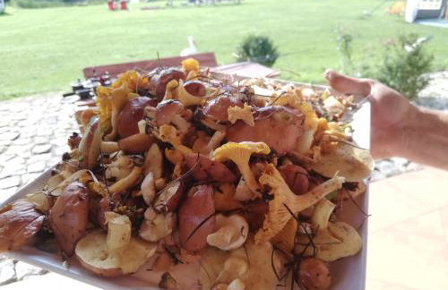 Domki nad stawem w Harszu - Foto 64