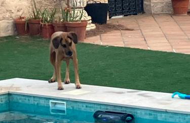 La Quinta - La Barrosa - Foto 19