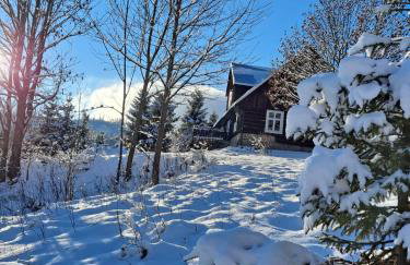 Chata góralska Wojtasówka - Foto 41