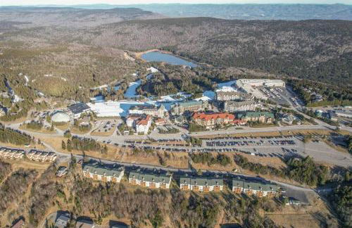 Cozy Condo at Summit - Foto 13